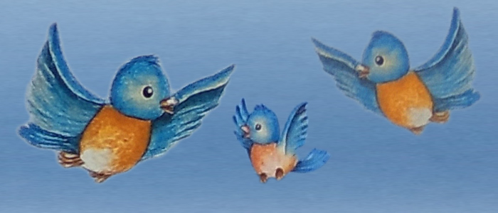 Coloring the Bluebirds