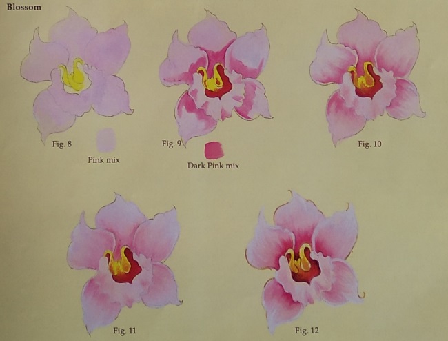 Drawing the Orchid's Blossom