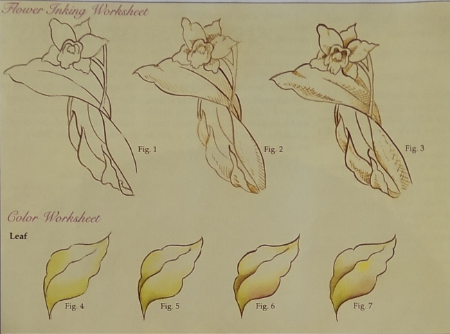 Inking the design of the Orchid Flower