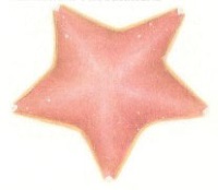 Drawing a pink sea starfish.